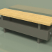 modello 3D Convector - Aura Bench (140x1000x236, RAL 7013) - anteprima