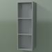 3d model Armario alto de pared (8DUADA02, Silver Grey C35, L 24, P 12, H 72 cm) - vista previa