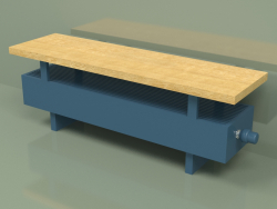 Convector - Aura Bench (140x1000x236, RAL 5001)