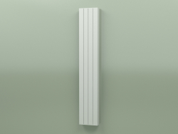 Radiator - Faro V (FAV 22 1800 300, RAL - 7038)