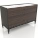 3d model Low chest of drawers (E208) - preview