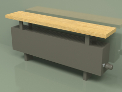 Convector - Aura Bench (240x1000x146, RAL 7013)