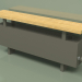 3d model Convector - Aura Bench (240x1000x146, RAL 7013) - preview