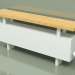 modello 3D Convector - Aura Bench (240x1000x146, RAL 9016) - anteprima