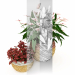 modello 3D di Anturio e fittonia comprare - rendering