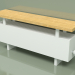 3d model Convector - Aura Bench (240x1000x186, RAL 9016) - preview