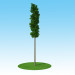 modello 3D di modello 3D Linden macrophylla arazzo sul tronco comprare - rendering