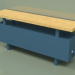 modello 3D Convector - Aura Bench (240x1000x186, RAL 5001) - anteprima