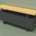 Modelo 3d Convector - Banco Aura (240x1000x186, RAL 9005) - preview