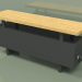 modello 3D Convector - Aura Bench (240x1000x236, RAL 9005) - anteprima