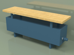 Конвектор - Aura Bench (240х1000х236, RAL 5001)