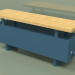 modello 3D Convector - Aura Bench (240x1000x236, RAL 5001) - anteprima