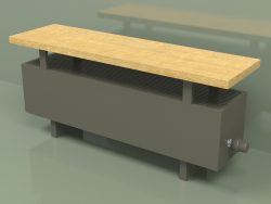 Convector - Aura Bench (240x1000x236, RAL 7013)