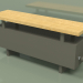 Modelo 3d Convector - Banco Aura (240x1000x236, RAL 7013) - preview