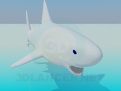 Shark