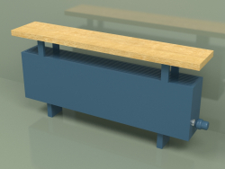 Конвектор - Aura Bench (280х1000х146, RAL 5001)