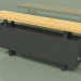 3d model Convector - Aura Bench (280x1000x146, RAL 9005) - preview