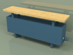 Конвектор - Aura Bench (280х1000х186, RAL 5001)