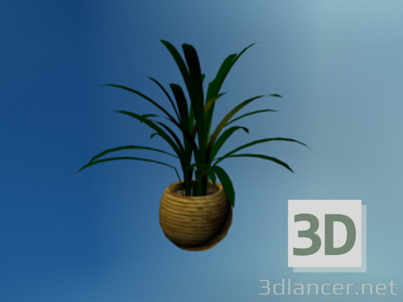 modello 3D Pianta - anteprima