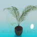 3d model Pet plant-fern - preview