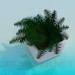 3d model Fern in a pot - preview