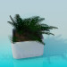 3d model Fern in a pot - preview