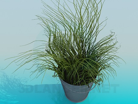 3d model Bucket with decorative grass - preview