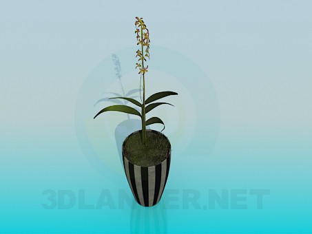 3d model Flower pot - preview