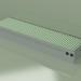 3d model Duct convector - Aquilo F1Т (260х1000х140, RAL 6019) - preview