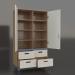 3d model Wardrobe open TUNE HS (WBTHCA) - preview