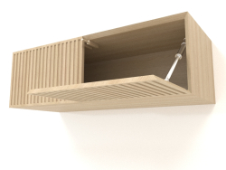 Étagère suspendue ST 06 (porte ouverte) (800x315x250, bois blanc)