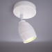 3d Spot LIGHT MW-AKVA 509023201 model buy - render