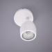 3d Spot LIGHT MW-AKVA 509023201 model buy - render