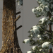 3D Kış spruce_Fir Kış modeli satın - render