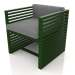 3d model Armchair (Bottle green) - preview