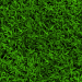 Texture Textures d'herbe Téléchargement gratuit - image