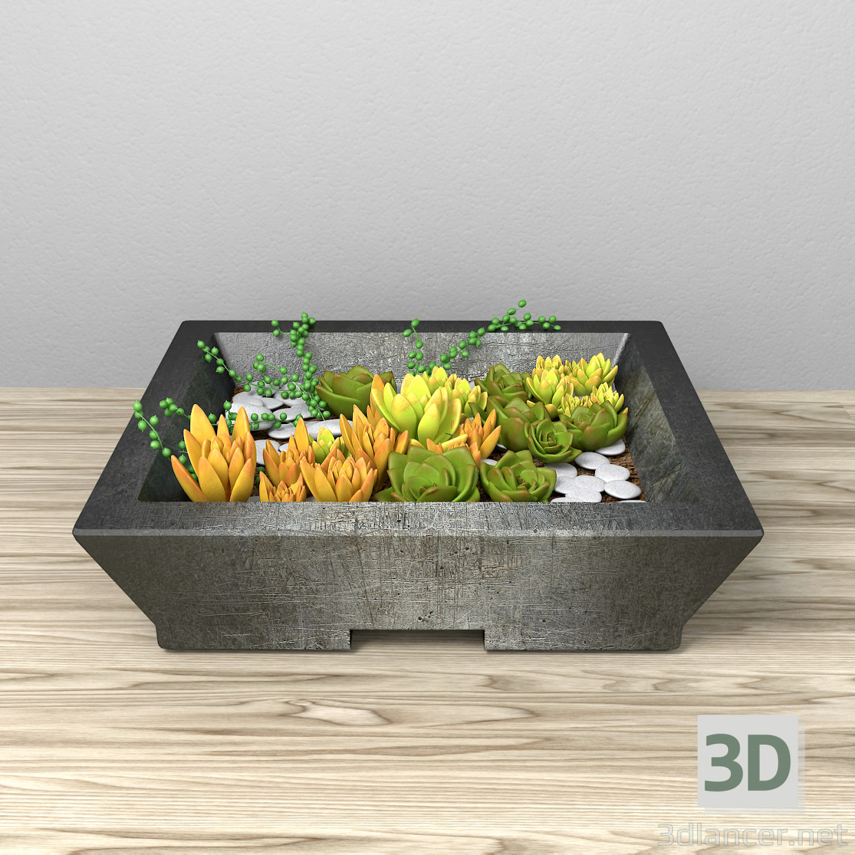 3d Succulents model buy - render