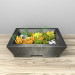 modello 3D di Succulente comprare - rendering