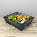 Plantas suculentas 3D modelo Compro - render