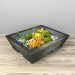 3d Succulents model buy - render