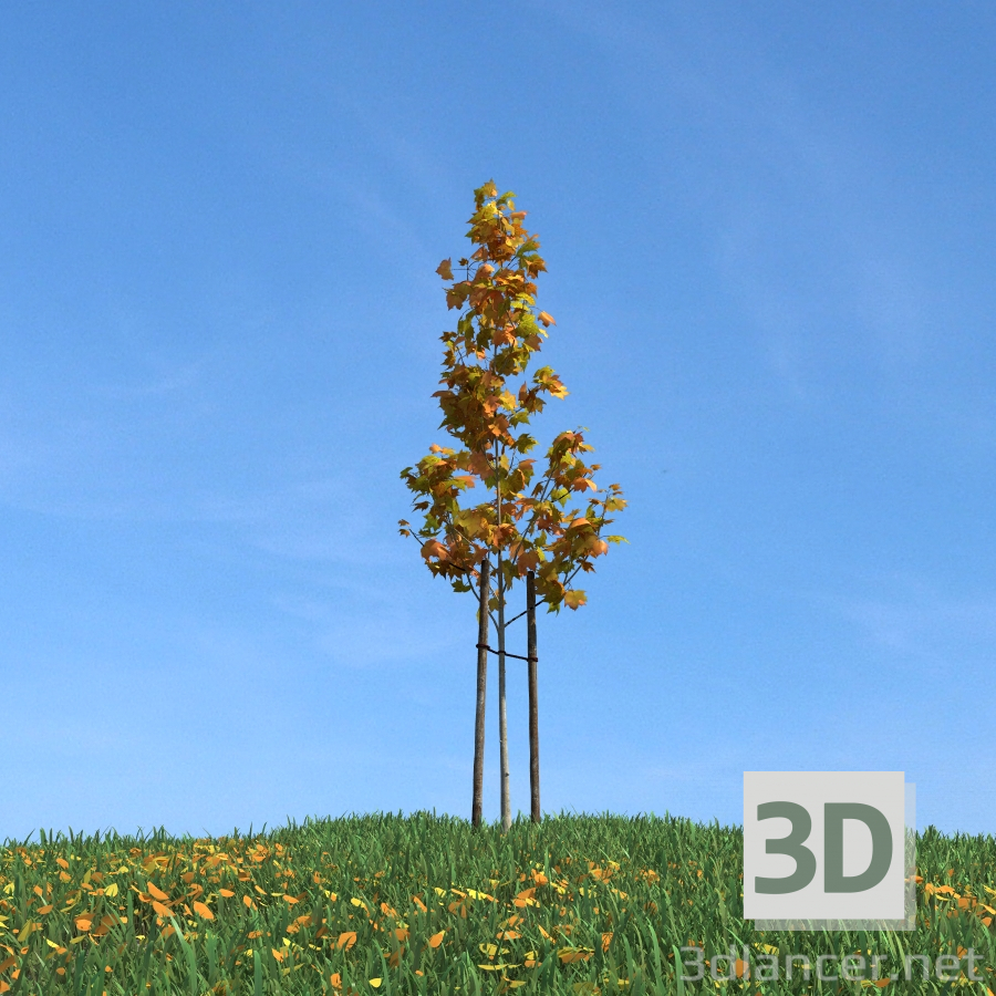 3d model Árbol - vista previa