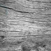 Texture download gratuito di texture legno - immagine