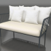 3d model 2-seater sofa (Anthracite) - preview