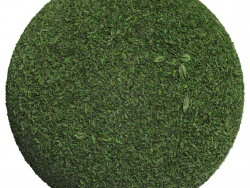 Grass 001