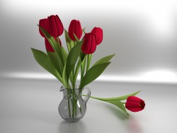 Cruche avec tulipes