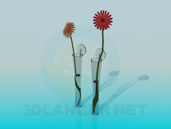 Narrow flower vases