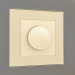 3D Modell Dimmer (Champagner) - Vorschau