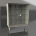 3D Modell Vitrine (C335) - Vorschau