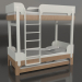 3d model Bunk bed TUNE U (UWTUA1) - preview