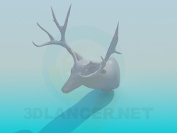 Head of deer